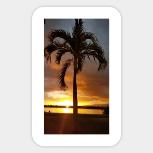 Hawaiian tropical palm tree Sticker